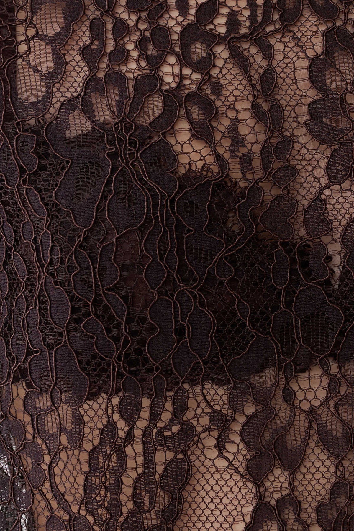 Harlyn Shoulder Pad Short Sleeve Lace Top Dark Chocolate