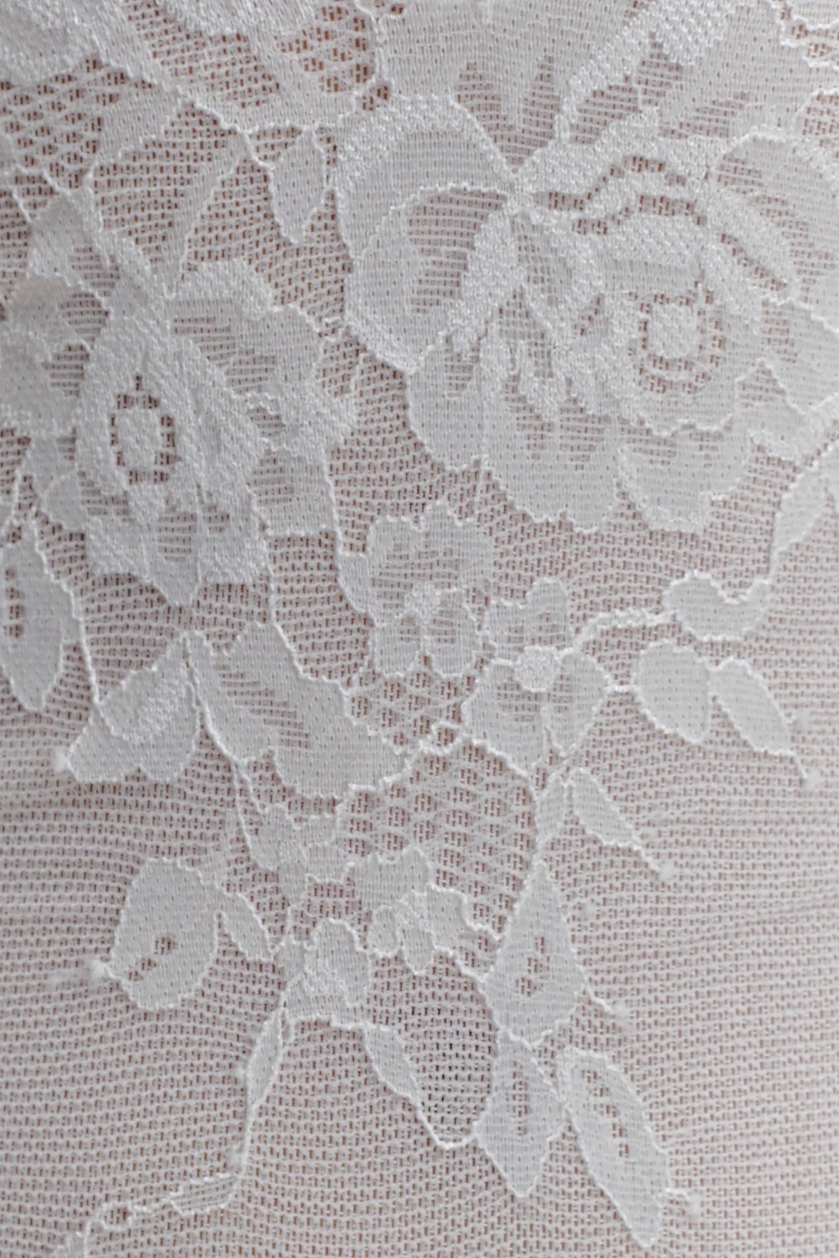 Jasper Sheer Plunge Lace Bodysuit Ivory