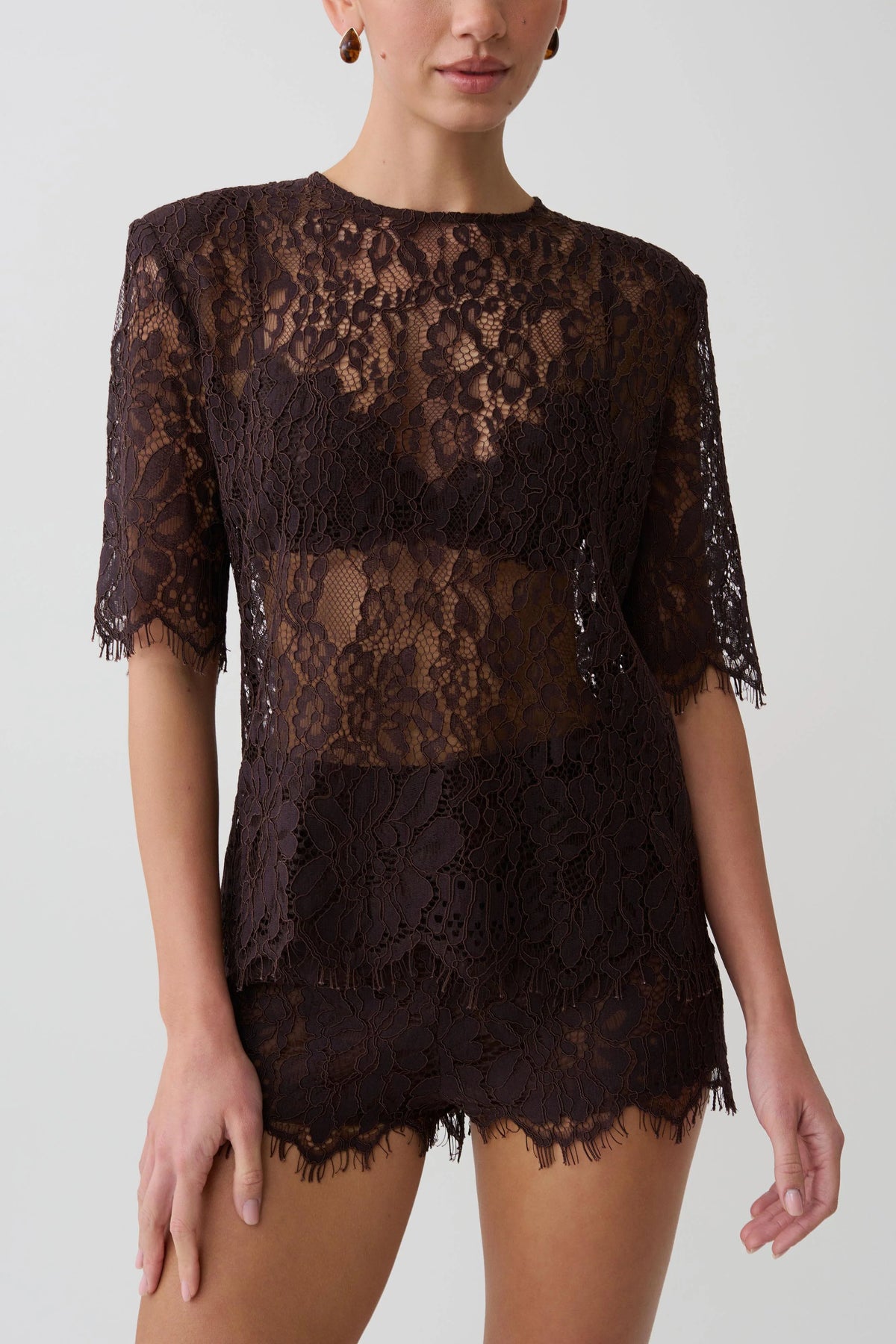 Harlyn Shoulder Pad Short Sleeve Lace Top Dark Chocolate