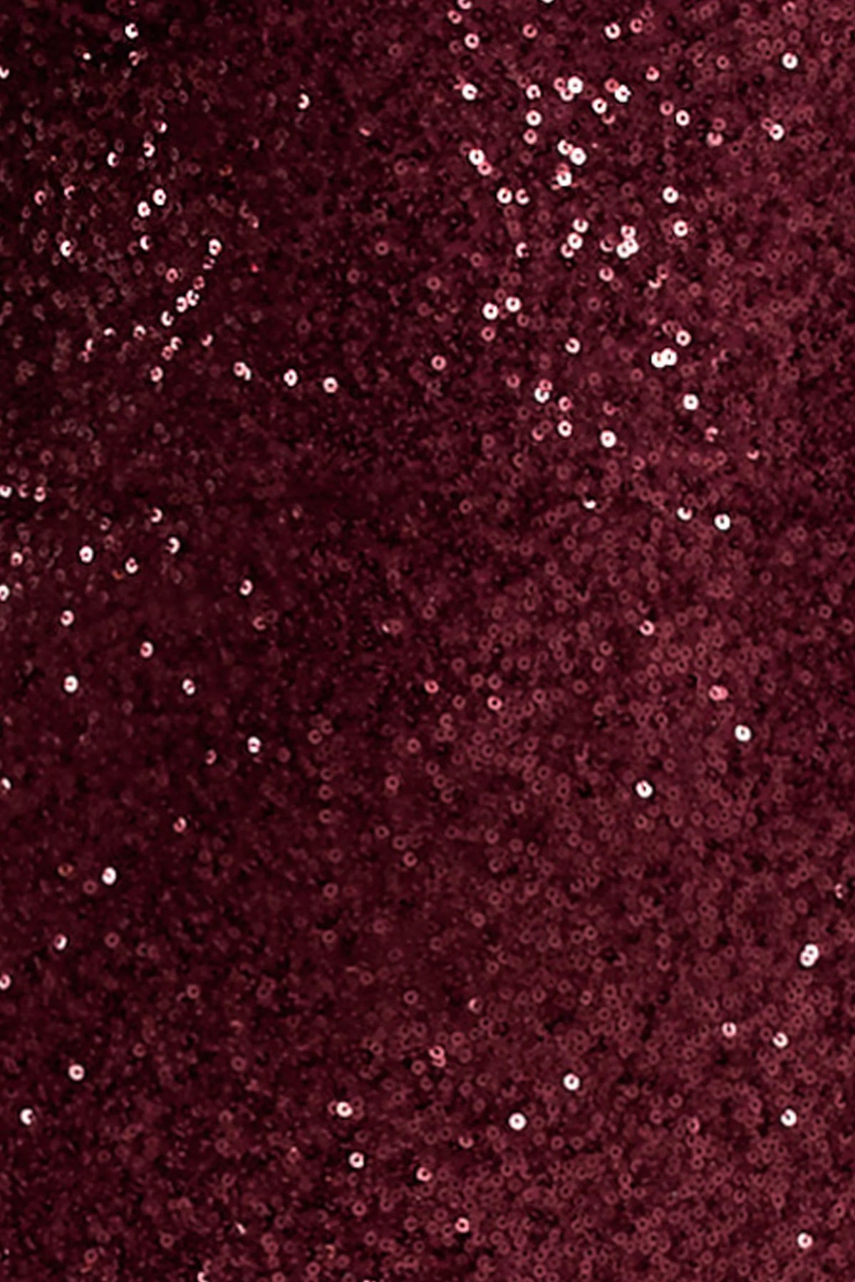 Kaelin Berry Sequin Plunge Neck Maxi Dress